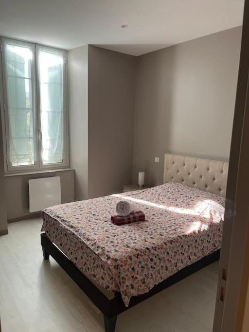 Apartment Superbe Plein Centre